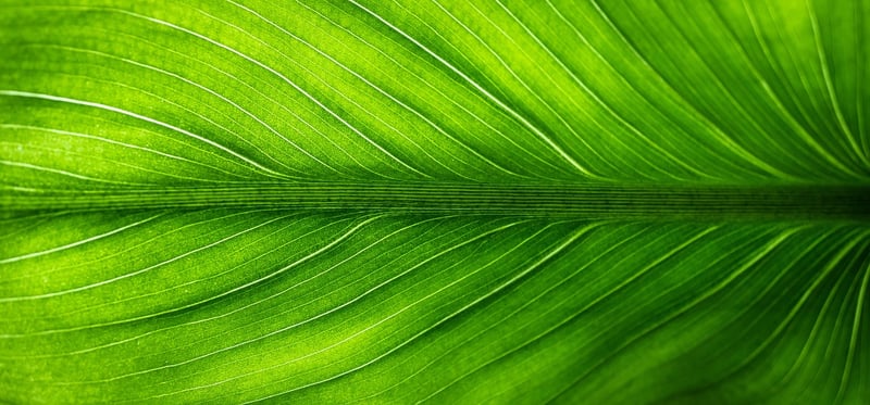 Create eco-friendly crafts